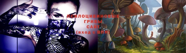 гидропоника Гусь-Хрустальный