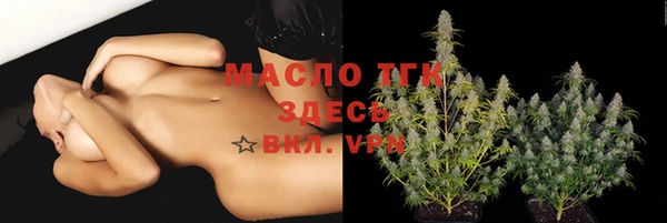 гидропоника Гусь-Хрустальный