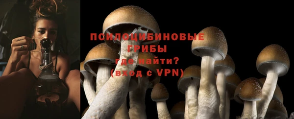 гидропоника Гусь-Хрустальный