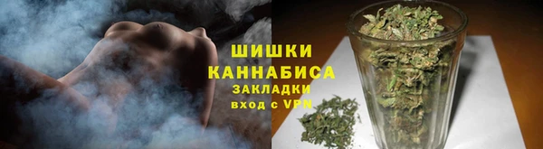 гидропоника Гусь-Хрустальный