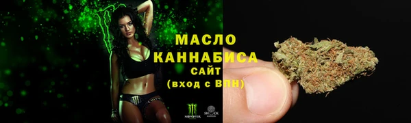 первитин Гусев
