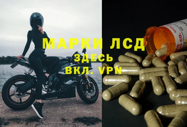 первитин Гусев