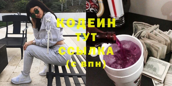 первитин Гусев