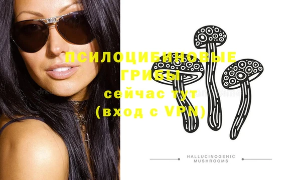 мяу мяу мука Гусиноозёрск
