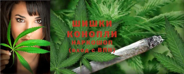 мяу мяу мука Гусиноозёрск